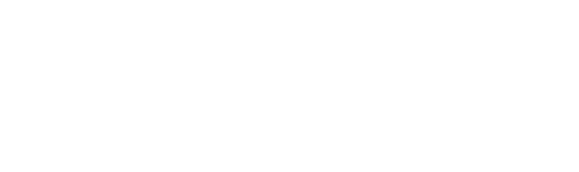 iQBot